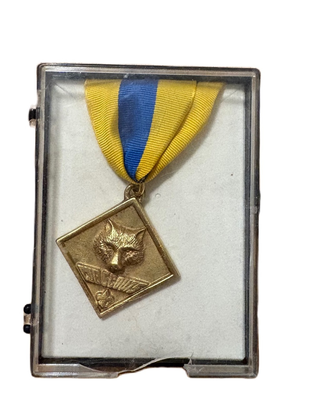 Den Leader Coach Training Award (1989-2001) Medal Boxed Cub Scouts BSA Gold Blue